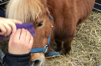 The Day the Farm came to School